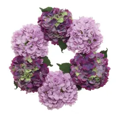 2-Pack: Magenta Pink Hydrangea Wreath, 15" Wide, Grapevine Ring, Front Door Wreath by Floral Home&reg;
