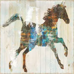Free Spirit I Poster Print by Sue Schlabach - Item # VARPDX36514