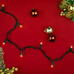 Northlight LED Wide Angle Christmas Lights - Warm White - 16.25' Black Wire - 50ct Clear