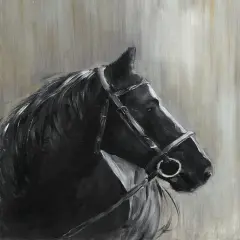 Midnight Thunder Poster Print by Sally Swatland - Item # VARPDX40059