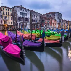 Gondolas parked on the grand canal, Venice, Italy Poster Print by Assaf Frank - Item # VARPDXAF20130409201C02