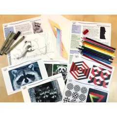 AA: Optical Illusion & Raccoon