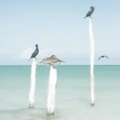 Sentries by Noah Bay - Item # VARPDXB3669D