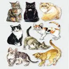 Paper House Cats Dimensional Stickers