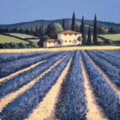 Colors of Summer Poster Print by David Short - Item # VARPDX8164