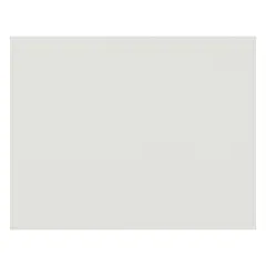 4-Ply Railroad Board, White, 22" x 28", Pack of 50