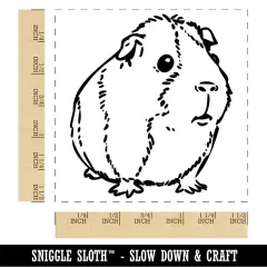 Sweet Guinea Pig Self-Inking Rubber Stamp Ink Stamper Blue