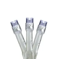 Brite Star LED Christmas Light set&ndash; Pure White - 5' Clear Wire - 15ct