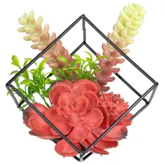 Northlight 5.5" Artificial Succulent Arrangement in Black Metal Wire Frame Red