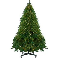 Northlight Pre-Lit Full Olympia Pine Artificial Christmas Tree - 12' - Warm White Lights Green