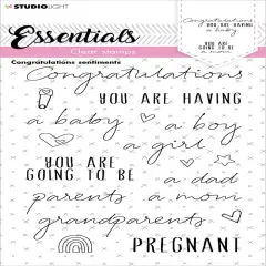 Studio Light Essentials Clear Stamp-Nr. 175, Congratulations Sentiments