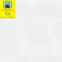 Strathmore 300 Series Gallery Stretch Canvas-16"X20"