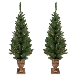 Northlight Set of 2 Pre-Lit Potted Porch Pine Topiary Slim Artificial Christmas Trees 4' - Clear Lights Green