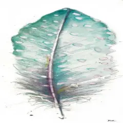 Watercolor Feather White I by Patricia Pinto - Item # VARPDX11051F