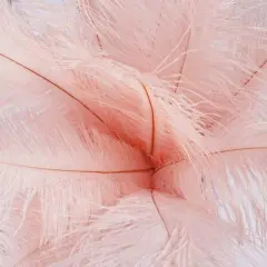12 pcs 13"-15" long Genuine Ostrich Feathers Rose gold