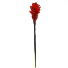 12-Pack: Real Touch Vibrant Red Ginger Stem by Floral Home&reg;
