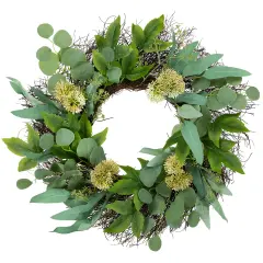 Northlight Eucalyptus and Olive Leaf Twig Spring Wreath, 24-Inch Green