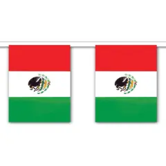 Mexican Flag Mexico Cinco De Mayo Streamer String Banner Decoration