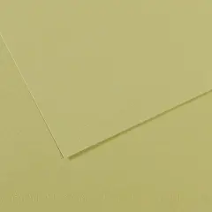 Canson Mi-Teintes Drawing Papers - 8-1/2" x 11", Light Green, 25 Sheets