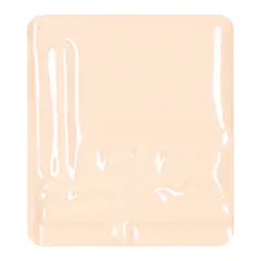 Laguna Lead-Free Gloss Glaze - Opaque, Nude, Pint