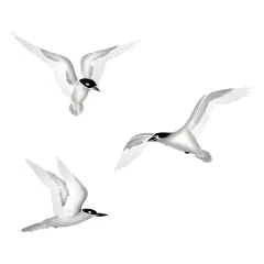 Sea Gulls Wall Stencil | 2611 by Designer Stencils | Reusable Art Craft Stencils for Painting on Walls, Canvas, Wood |