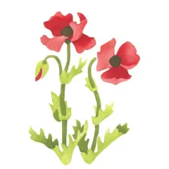 Large Poppy Flower Wall Stencil | 3214B by Designer Stencils | Reusable Art Craft Stencils for Painting |
