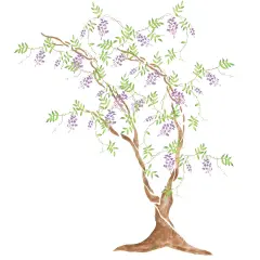 Wisteria Tree Wall Stencil | 2904 by Designer Stencils | Animal & Nature Stencils | Reusable Art Craft Stencils for Painting on Walls, Canvas, Wood | Reusable Plastic Paint Stencil for Home Makeover | Easy to Use & Clean Art Stencil