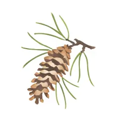 Single Pinecone Wall Stencil | 3181 by Designer Stencils | Animal & Nature Stencils | Reusable Art Craft Stencils for Painting on Walls, Canvas, Wood | Reusable Plastic Paint Stencil for Home Makeover | Easy to Use & Clean Art Stencil