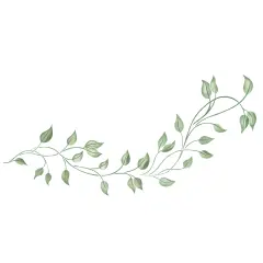 Free-Form Vine Wall Stencil | 2931 by Designer Stencils | Floral Stencils |