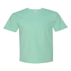 Hanes&reg; Authentic Crewneck Short Sleeve T-Shirt Clean Mint