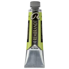 Rembrandt Artists' Oil Color - Permanent Yellowish Green, 40 ml tube