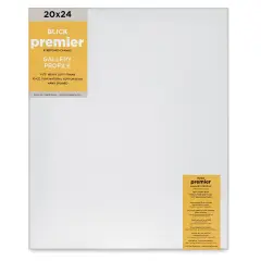 Blick Premier Stretched Cotton Canvas - Gallery Profile, Splined, 20" x 24"