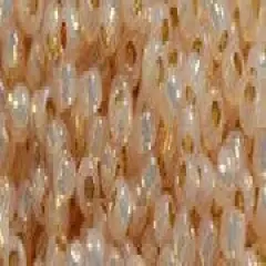 Toho 8/0 Round Japanese Seed Bead, TR8-2126PF, Silver Lined Light Peach PermaFinish