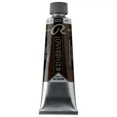 Rembrandt Artists' Oil Color - Raw Umber, 150 ml tube