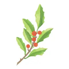 Holly Sprig Wall Stencil | 3173 by Designer Stencils | Floral Stencils | Reusable Art Craft Stencils for Painting on Walls, Canvas, Wood | Reusable Plastic Paint Stencil for Home Makeover | Easy to Use & Clean Art Stencil