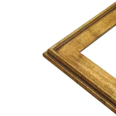Blick Simplon Frame, 3-1/4&rdquo;-8&rdquo; x 10&rdquo; x &frac12;&rdquo;, Speckled Gold