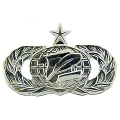 EagleEmblems P12071 Wing-USAF,INF.MNGR,SR. (Mini) PWT (.875'')