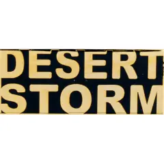 EagleEmblems P12803 Pin-DEST.Storm,Script (1.5'')
