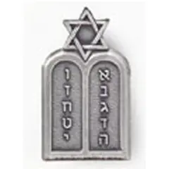 U.S. Army Jewish Torah Pin 1"