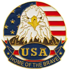 USA Eagle & Flag Pin 1"