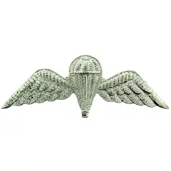 	EagleEmblems P40046 Wing-British,Jump (2'')