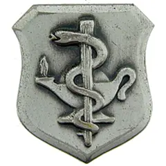 U.S. Air Force Basic Nurse Pin 7/8"