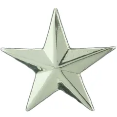 U.S. Army General's Star Pin Silver Plated 1"