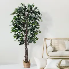 (2 Pack) 60"Artificial Ficus Tree in Basket (Set of 2)
