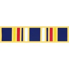 EagleEmblems P14303 PIN-Ribb,WAR ON TERR.SVC (11/16'')