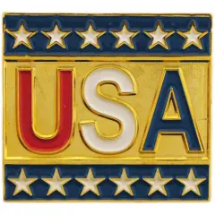 USA with Stars Pin 1"