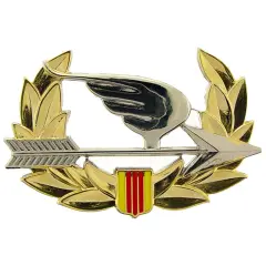 Vietnam U.S. Army Ranger Pin 2 1/4"