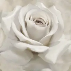 Dreamy I Poster Print by Igor Levashov - Item # VARPDX40172