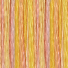 DMC Color Variations 6-Strand Embroidery Floss 8.7yd
