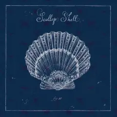 Underwater Life XV Poster Print by Daphne Brissonnet - Item # VARPDX33471HR